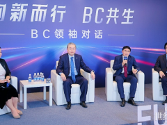 隆基鐘寶申：未來(lái)2-3年BC將占據(jù)光伏半壁江山